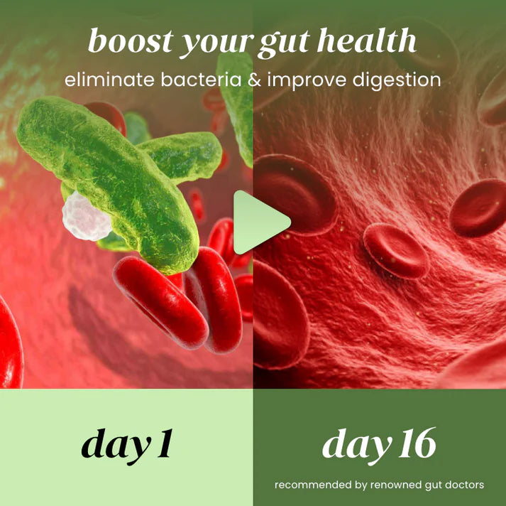 AstridOrganics para cleanse gummies