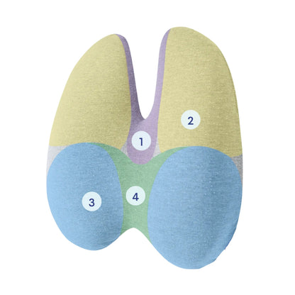 AstridOrganics OrthoPedic Seat Cushion